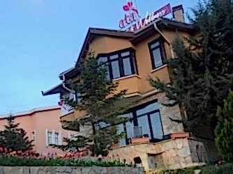 Merkezimiz Hakkında